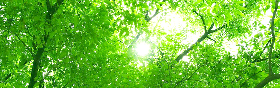 住之江区浜口の歯医者　三光寺歯科診療所